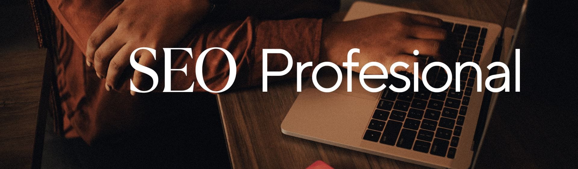 SEO profesional Marketing Digital Medellín